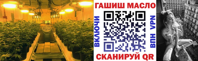 как найти наркотики  Зеленокумск  ТГК гашишное масло 