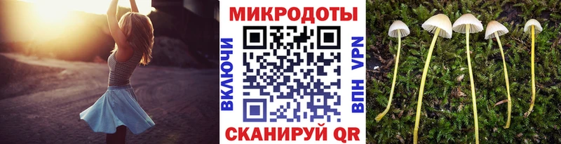 OMG маркетплейс  Зеленокумск  Псилоцибиновые грибы Psilocybine cubensis 